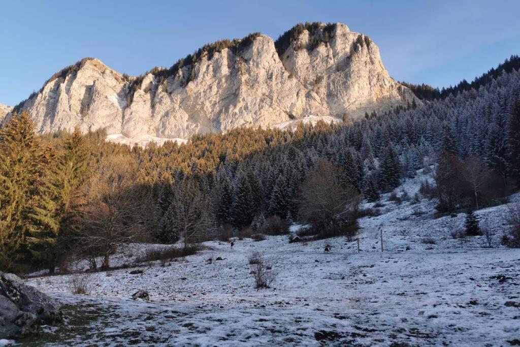Appartement Lumineux Coeur De Station Thollon-les-Memises Εξωτερικό φωτογραφία